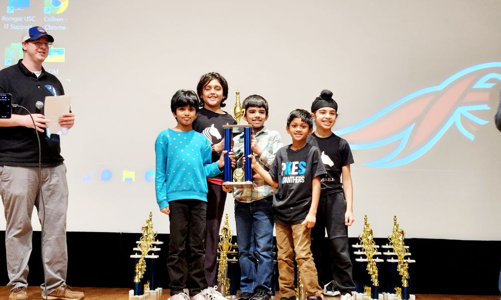 What is a Chess Rating?